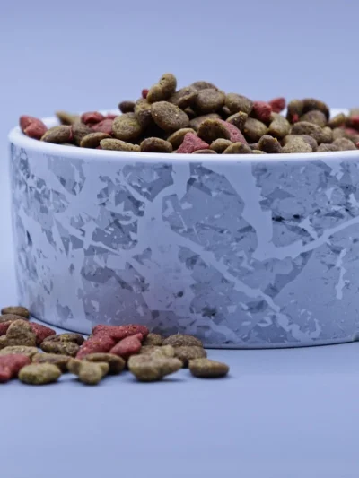 Pet Food & Accessories