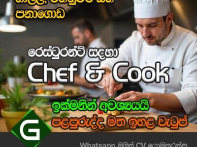 Chef & Cook