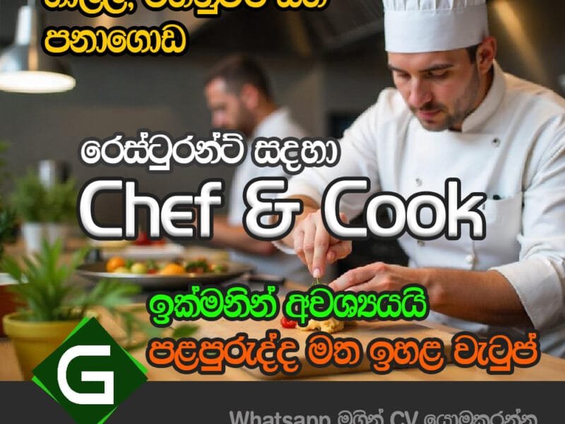 Chef & Cook
