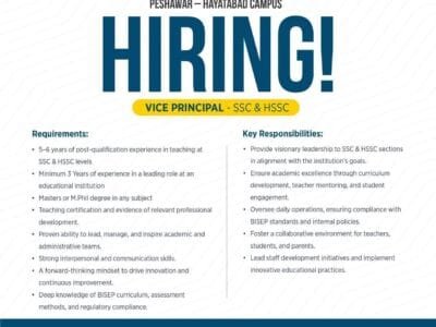 Vice Principal -(Pak-Turk Maarif)