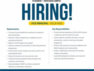 Vice Principal -(Pak-Turk Maarif)