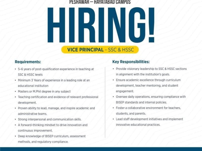 Vice Principal -(Pak-Turk Maarif)