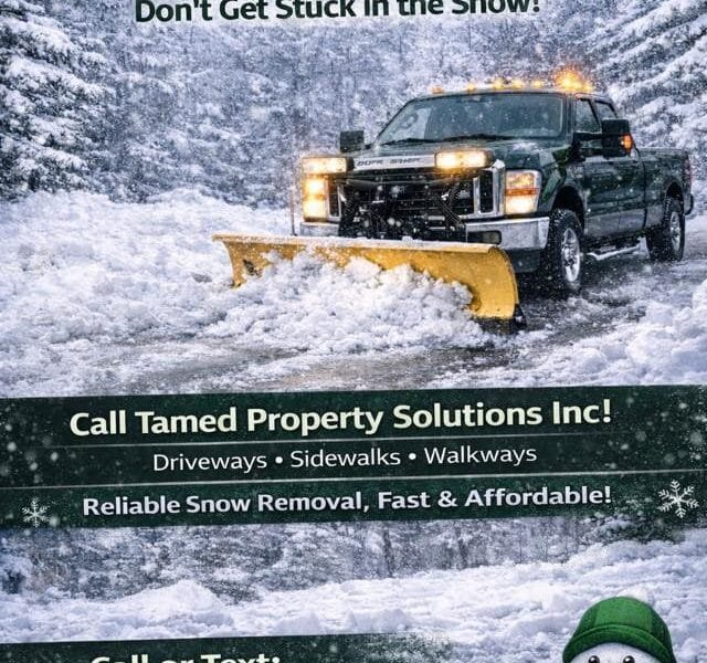 Snow Removal Services