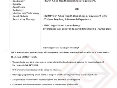 Hiring Assistant Professor