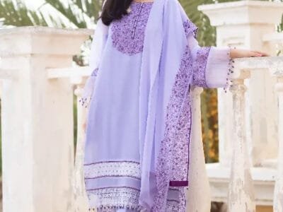 Lyla Luxury Embroidered Festive Chiffon