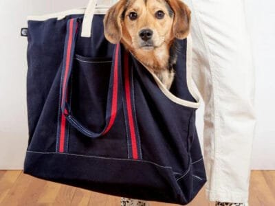 Carrier Dog Bag