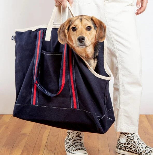 Carrier Dog Bag