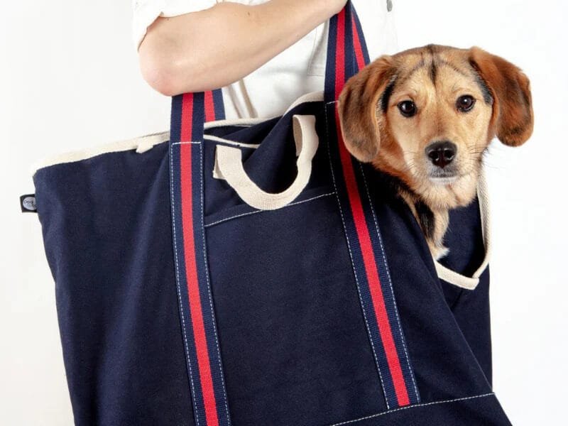 Carrier Dog Bag