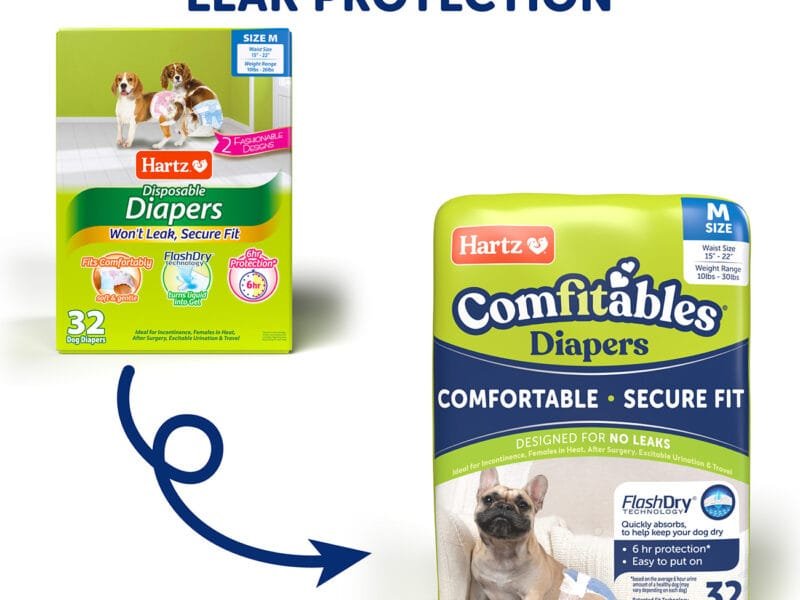 Dog Diapers