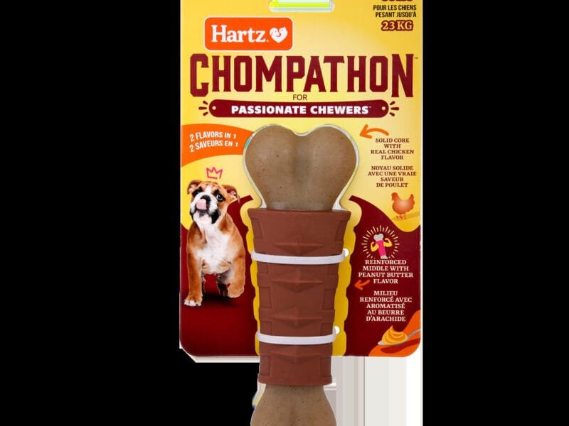 Dog Chew Toy