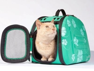 Pet Shop UK