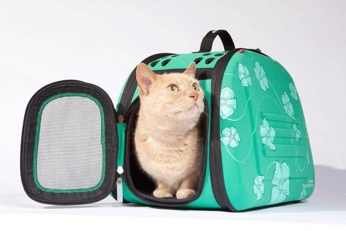 Pet Shop UK
