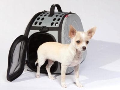 Pet Shop UK