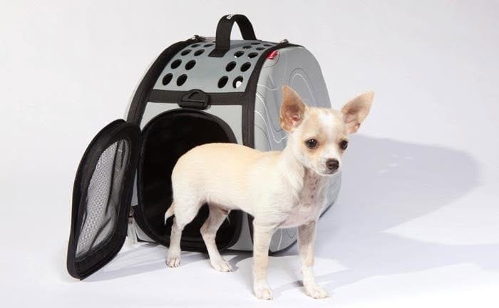 Pet Shop UK