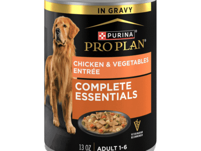 Adult Wet Dog Food