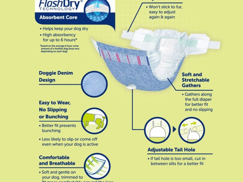 Dog Diapers