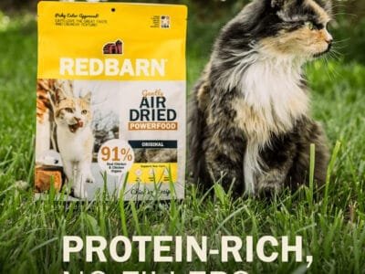 Cat Food