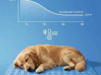 Dog Mat