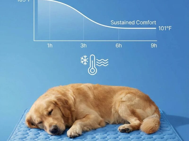 Dog Mat