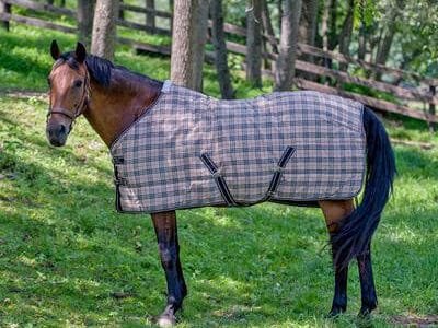 Standard Neck Medium Weight Horse Stable Blanket