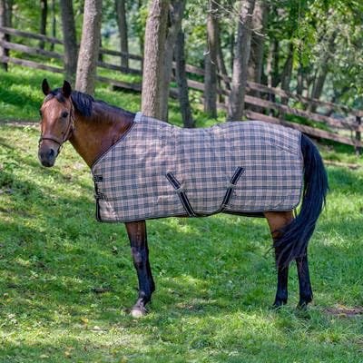 Standard Neck Medium Weight Horse Stable Blanket