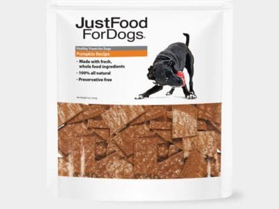 Pumpkin Dog Treats