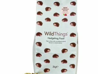 Hedgehog Food