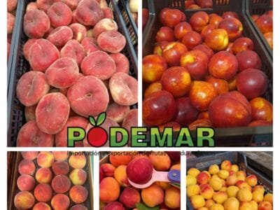 FROZEN PRODUCTS FROM EGYPT
