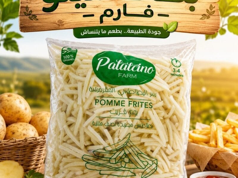 Premium Frozen French Fries