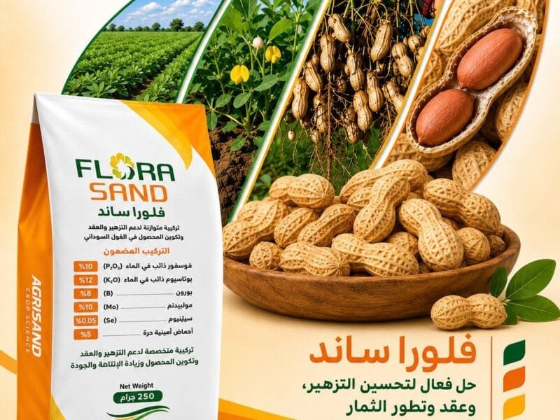 Agrisand - أجرى ساند