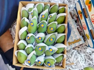 شركة ناجي للتجاره والتصدير والاستيراد