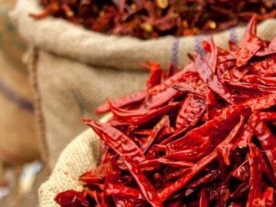  Premium Kashmiri Red Chilli (Paprika) Available Wholesale