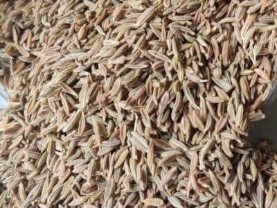 Premium Quality Irani Zeera (Cumin Seeds)