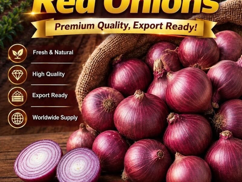  Egyptian Red Onions – Premium Quality, Export Ready!