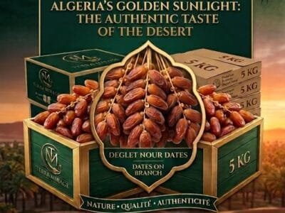 Algerian Deglet Nour dates