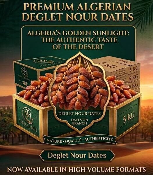 Algerian Deglet Nour dates