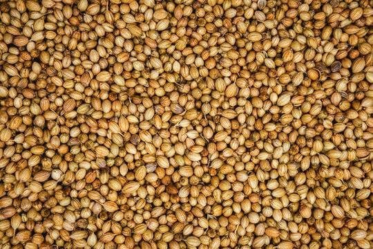 Premium Quality Coriander Seeds (dhania)
