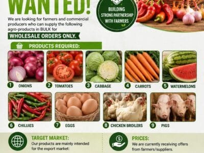 KAFUE AGRO LTD – FARMERS WANTED!