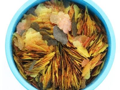 Aquarian Tropical and Temperate Fish Flake Food