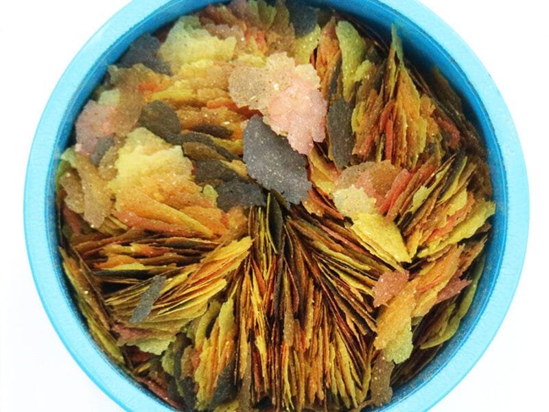 Aquarian Tropical and Temperate Fish Flake Food