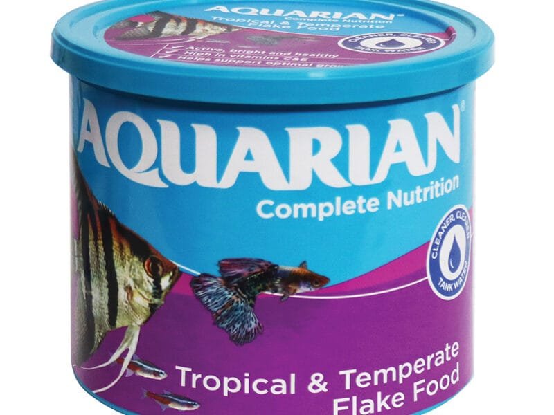 Aquarian Tropical and Temperate Fish Flake Food