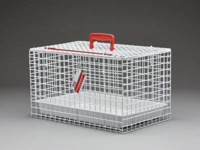 Cat Carriers