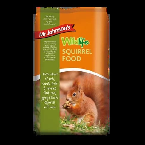 Squirrel Feeding