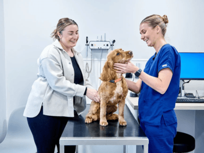 Pet Care & Advice